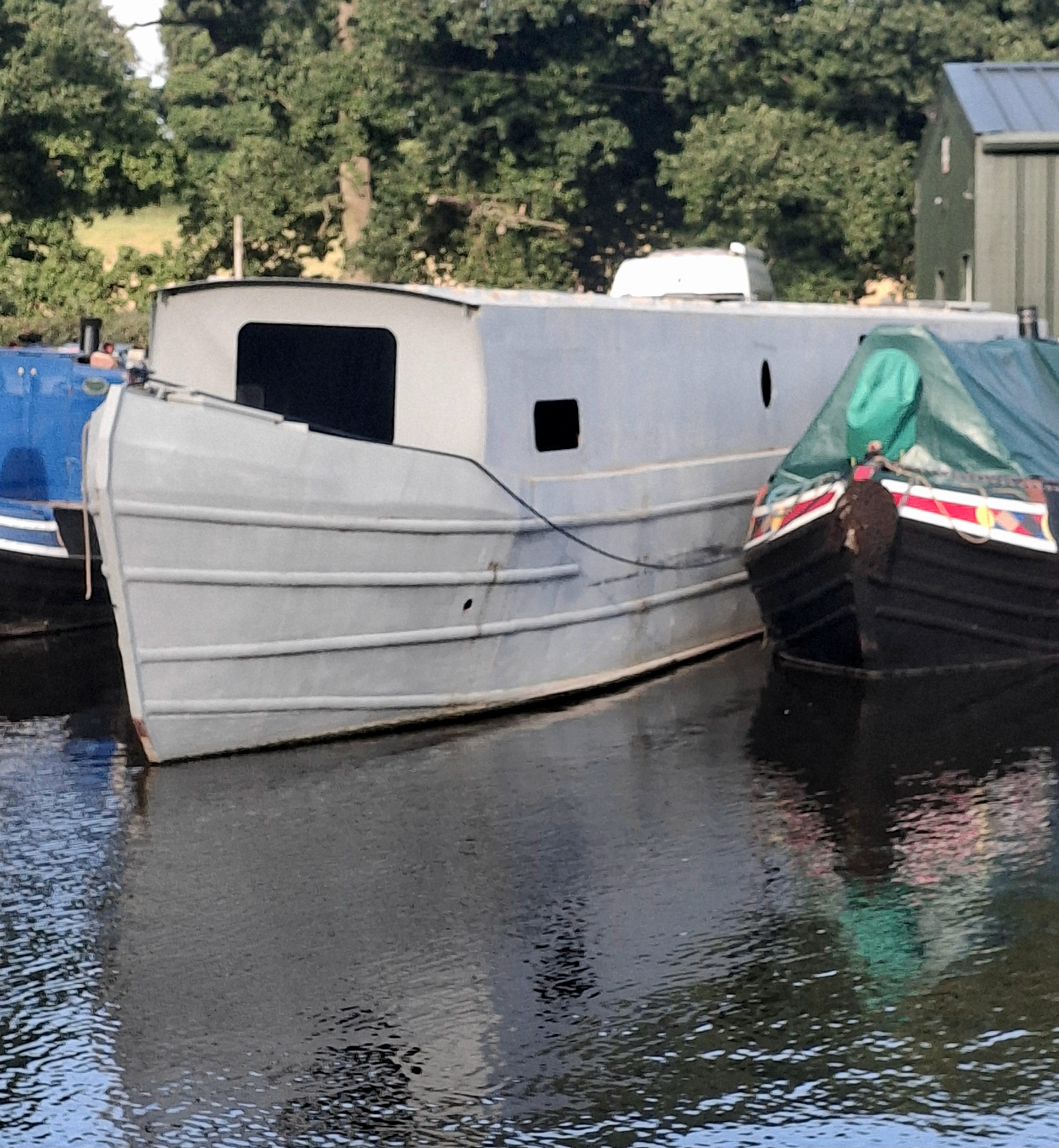 Custom River Cruiser